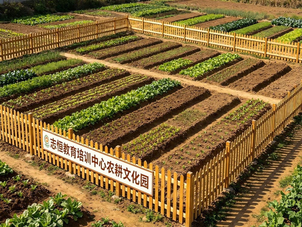 淮南靠谱的叛逆孩子全封闭管教学校口碑解析与选校指南