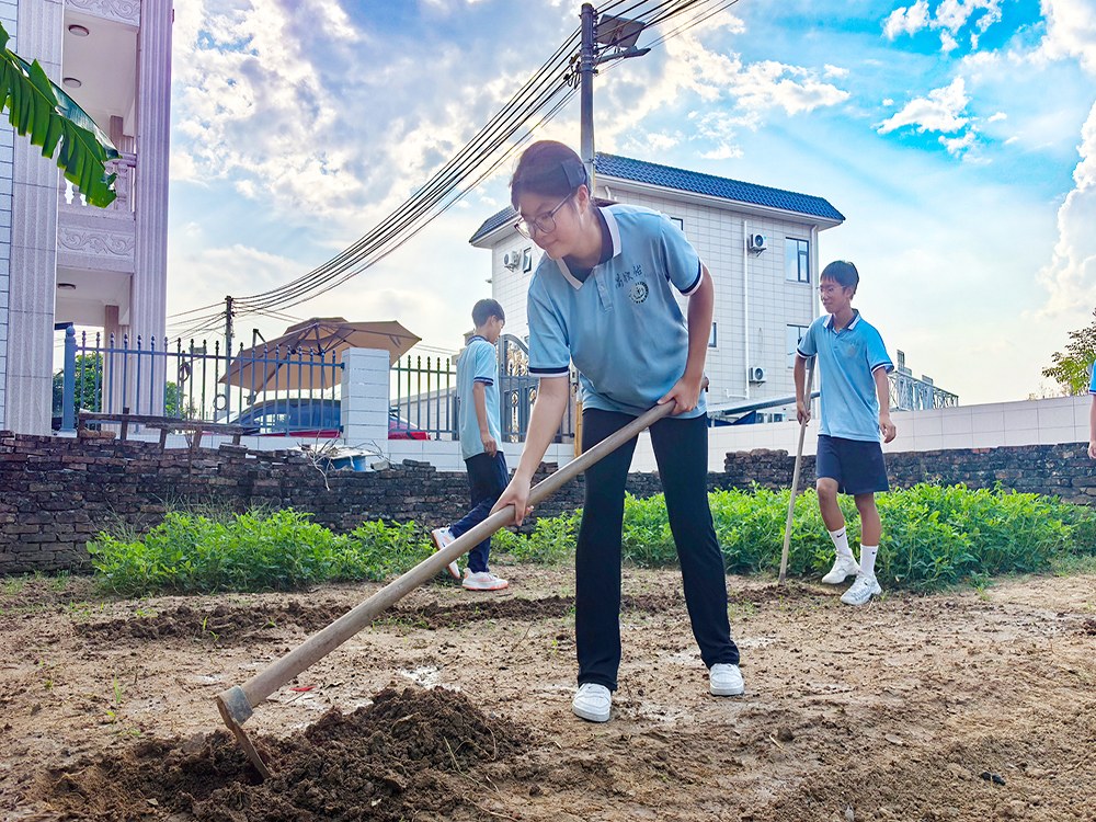 淮南封闭式青少年素质培育学校2026家长择校指南